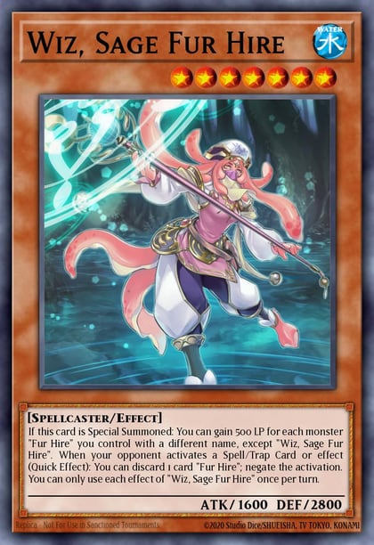 Wiz, Sage Fur Hire, Dark Saviors DASA-EN022