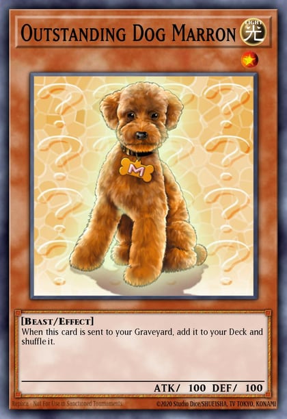 Outstanding Dog Marron, Dark Crisis (25th Anniversary Edition) DCR-EN062