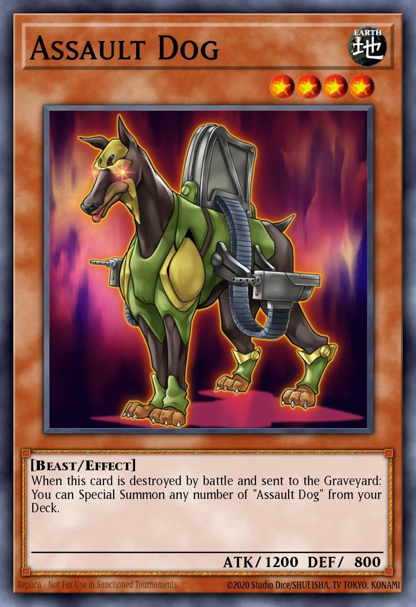 Assault Dog, Dragons of Legend: The Complete Series DLCS-EN035