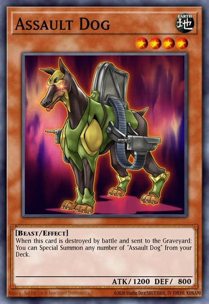 Assault Dog, Dragons of Legend: The Complete Series DLCS-EN035