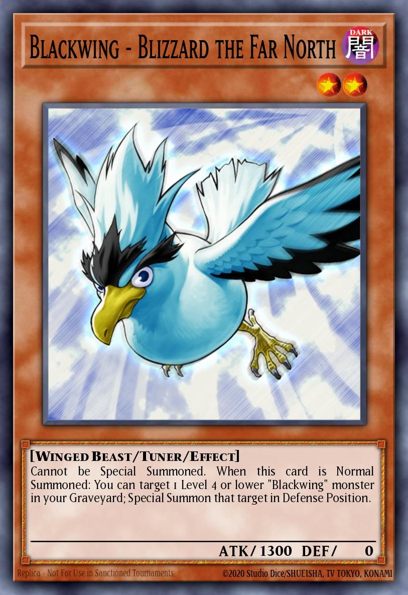 Blackwing - Blizzard the Far North, Duelist Pack 11: Crow DP11-EN003