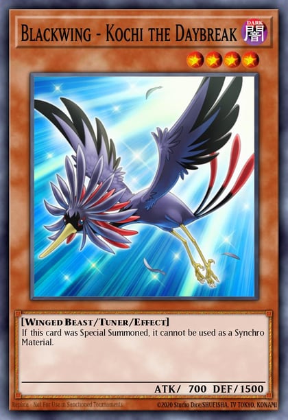 Blackwing - Kochi the Daybreak, Duelist Pack 11: Crow DP11-EN010