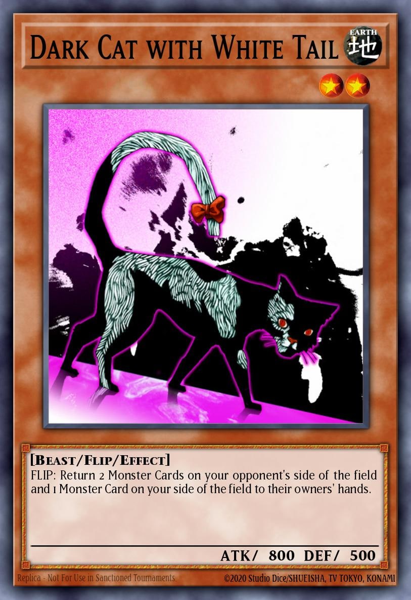 Dark Cat with White Tail, Dark Revelation Volume 1 DR1-EN138