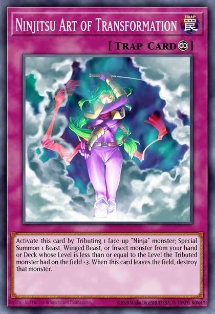 Ninjitsu Art of Transformation, Dark Revelation Volume 2 DR2-EN164