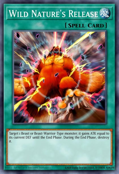Wild Nature's Release, Invasion of Chaos (25th Anniversary Edition) IOC-EN033