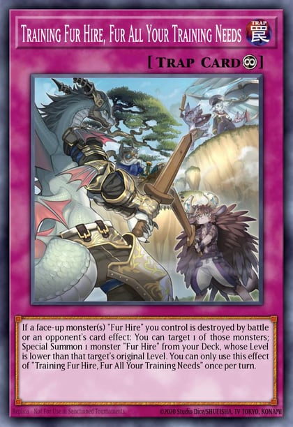 Training Fur Hire, Fur All Your Training Needs, 2019 Gold Sarcophagus Tin Mega Pack MP19-EN256