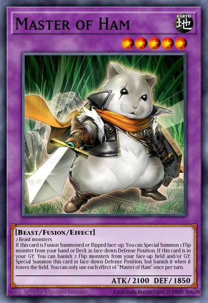 Master of Ham, 2025 Mega-Pack MP25-EN161