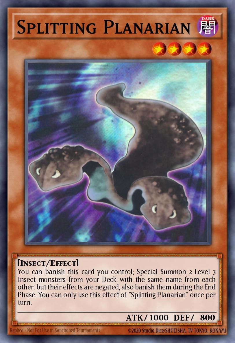Splitting Planarian, 2025 Mega-Pack MP25-EN263