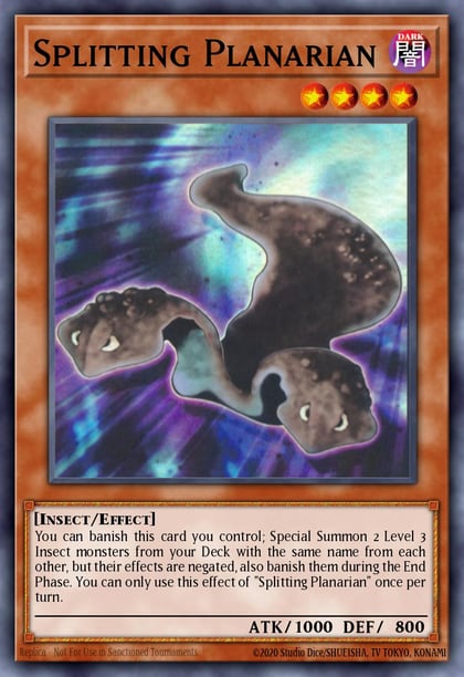Splitting Planarian, 2025 Mega-Pack MP25-EN263