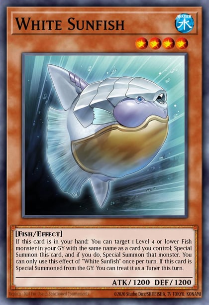 White Sunfish, 2025 Mega-Pack MP25-EN304