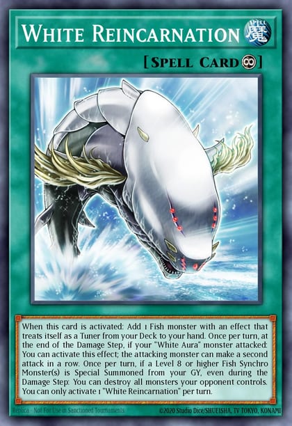 White Reincarnation, 2025 Mega-Pack MP25-EN317