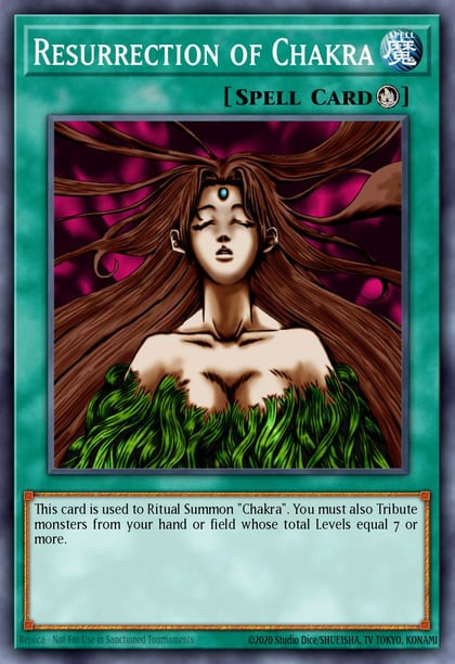 Resurrection of Chakra, Number Hunters NUMH-EN053