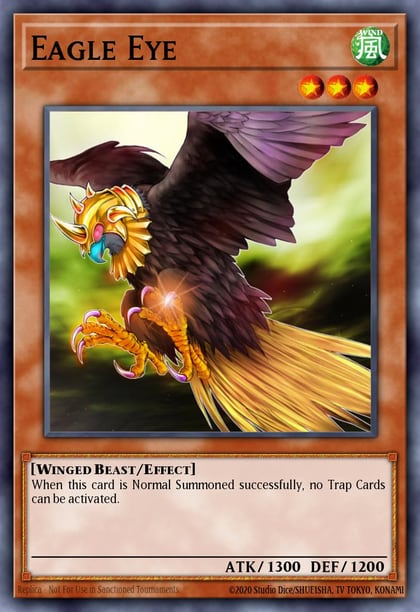 Eagle Eye, Rise of Destiny RDS-EN022