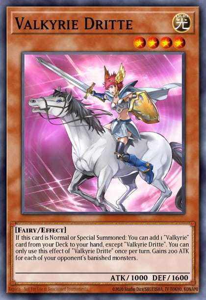 Valkyrie Dritte, Shadows in Valhalla SHVA-EN001