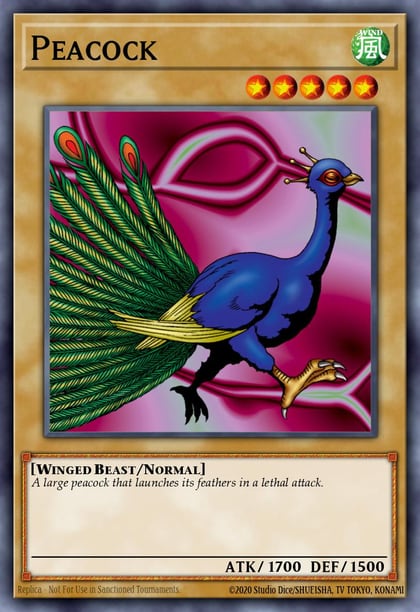 Peacock, Spell Ruler (Worldwide English) SRL-EN011
