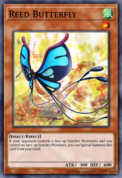 Reed Butterfly, Starstrike Blast STBL-EN003