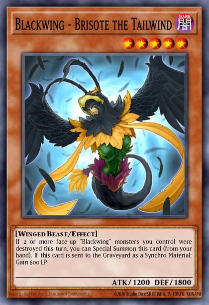 Blackwing - Brisote the Tailwind, Storm of Ragnarok STOR-EN008